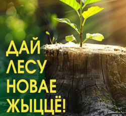 Акция «Дай лесу новае жыццё!»